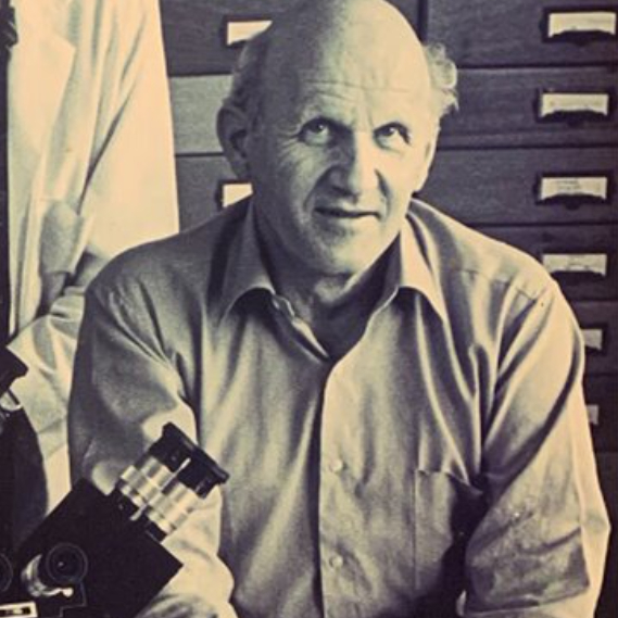 Image of Dr. Harold Lischner